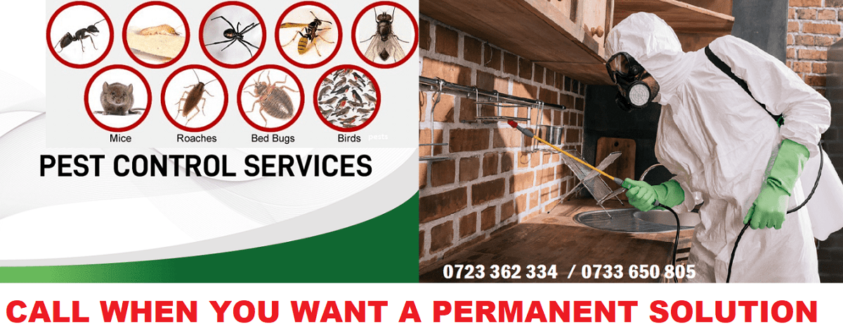 Fumigation & pest control services in Kenya