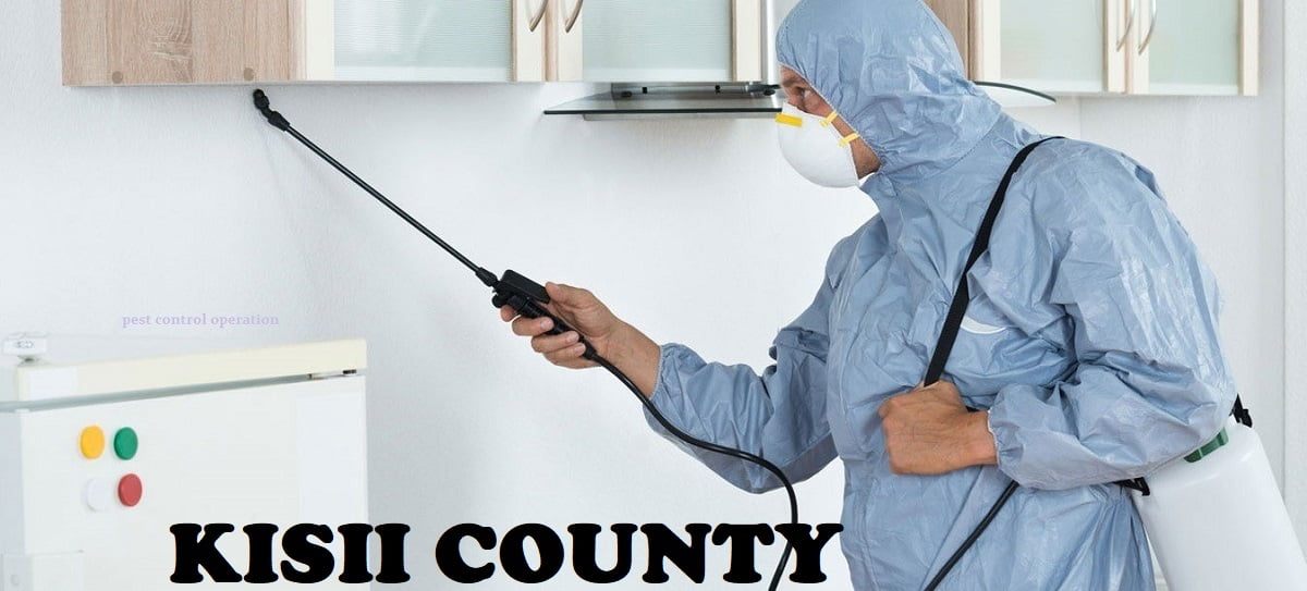 Fumigation & pest control services in Kisii Kenya