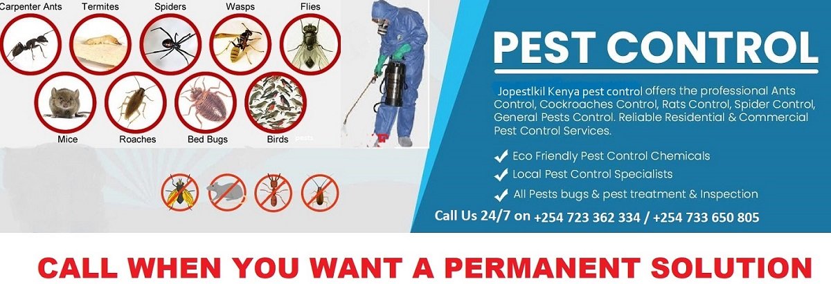 Kakamega fumigation and pest control services in Kakamega