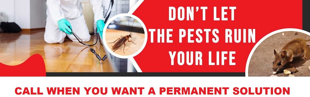 Kilifi fumigation and pest control services