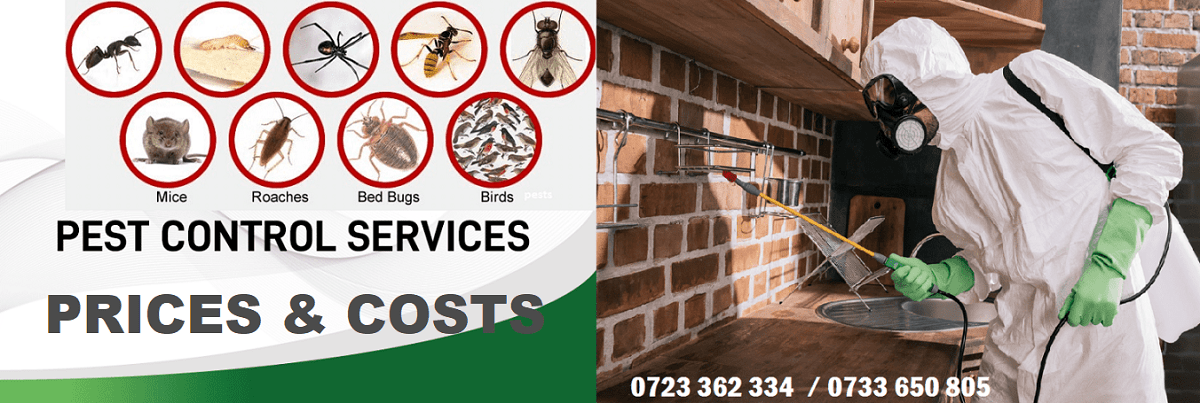 Prices & costs for fumigation and pest control services in Kenya Nairobi.