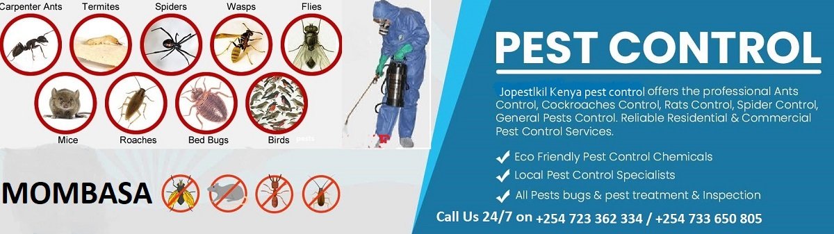Siaya fumigation services and pest control services in Siaya Kenya