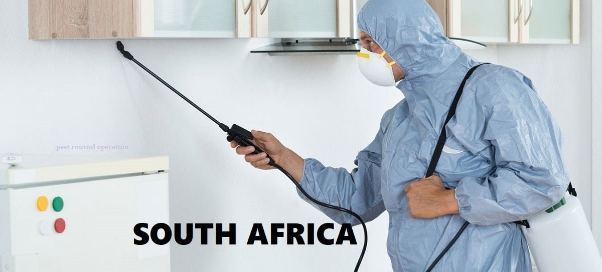 fumigation & pest control services in South Africa.