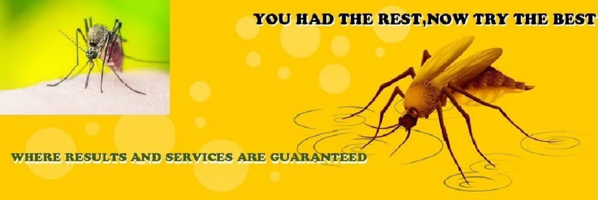 mosquitoescontrol-services-in-Kenya-Nairobi-Mombasa-and-mosquito-fumigation-services-in-Kenya-Mombasa-Kisumu-curative