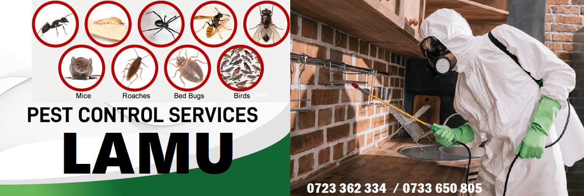 Lamu fumigation and pest control services in Lamu Kenya