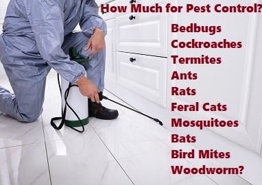 how much for pest control services Kenya?