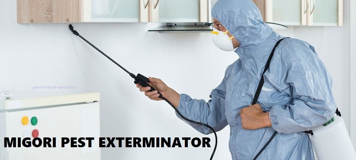 pest control services in Migori