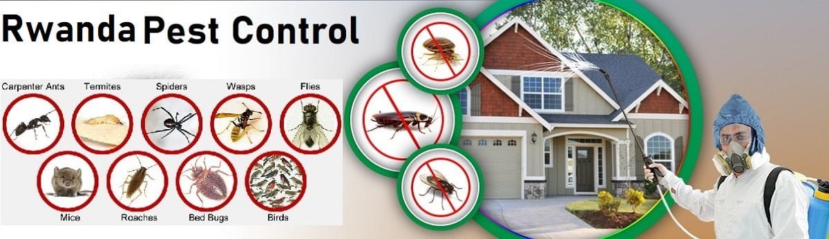 Rwanda fumigation and pest control services