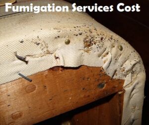 fumigation services cost in Kenya