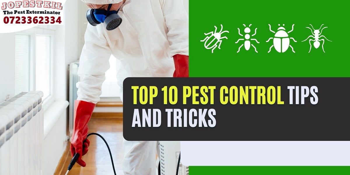 pest control Homa Bay