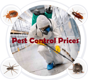 pest control prices in Kenya