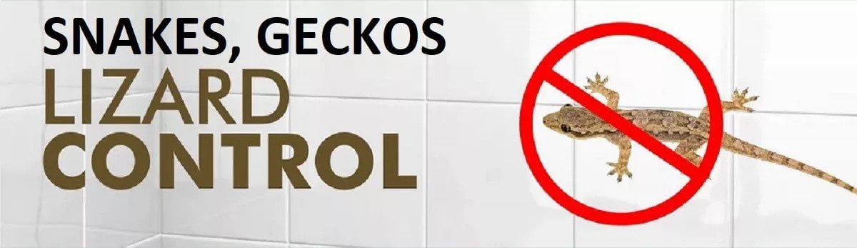 snake control in Kenya