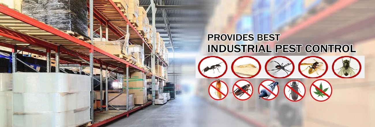 Fumigation and pest control services in Industrial Area Nairobi