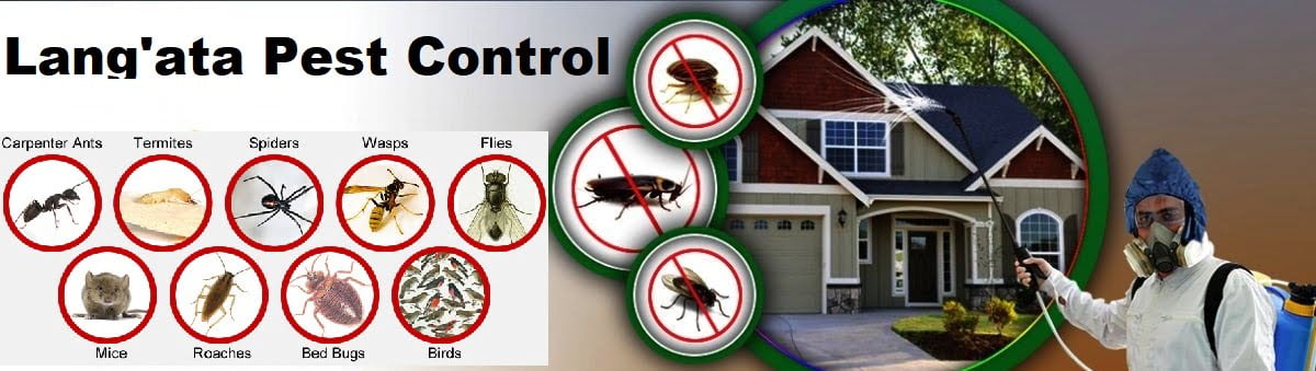 Fumigation and pest control services in Lang'ata