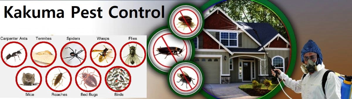 Fumigation & pest control services in Kakuma