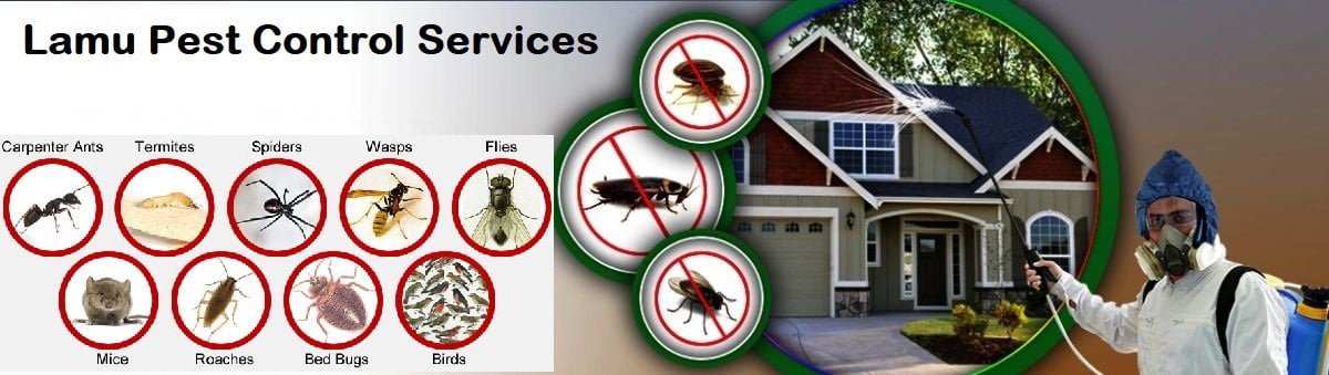 Fumigation & pest control services in Lamu