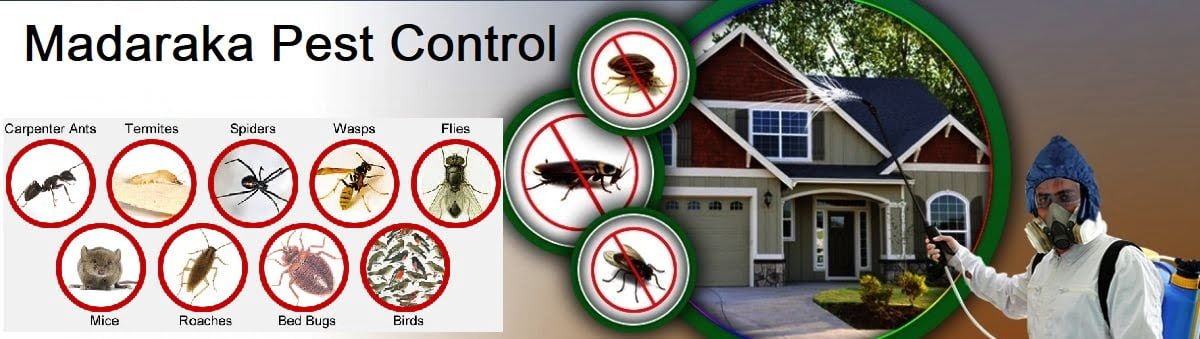 Fumigation & pest control services in Madaraka Nairobi