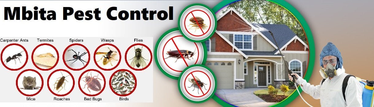 Fumigation & pest control services in Mbita Rusinga