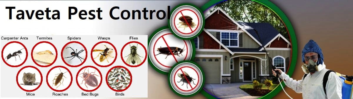 Fumigation & pest control services in Taveta