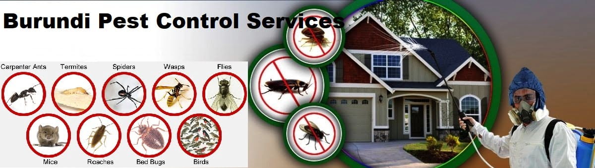 fumigation and pest control services in Burundi Bujumbura