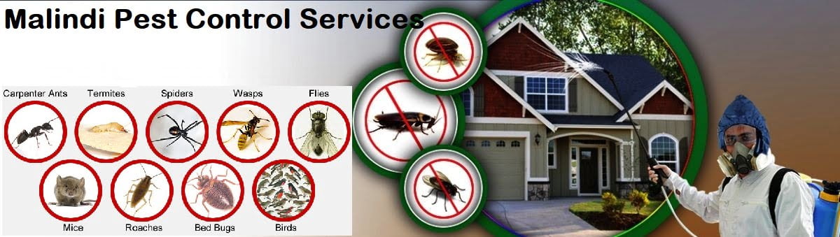 fumigation and pest control services in Malindi