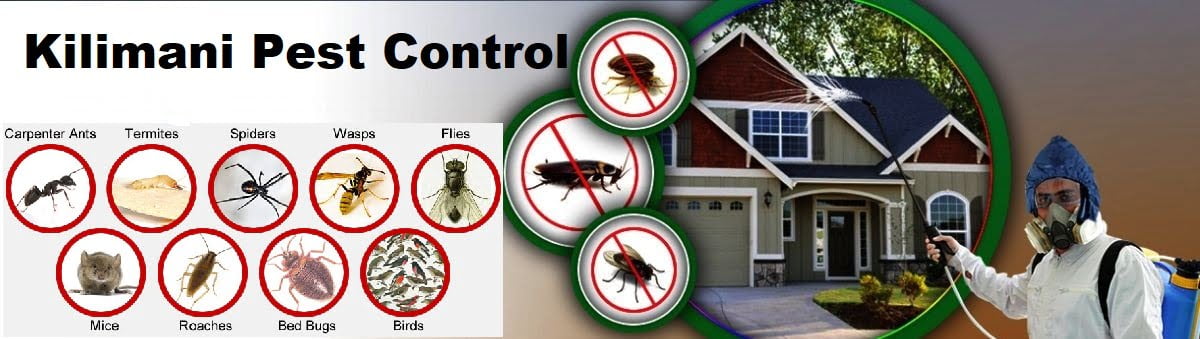 fumigation & pest control services in Kilimani Nairobi