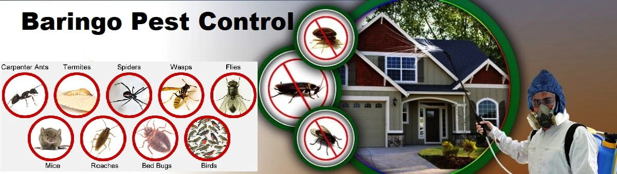 pest control services in Baringo
