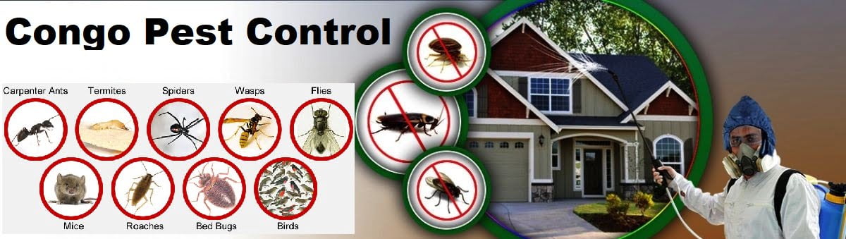 pest control services in Congo Kinshasa