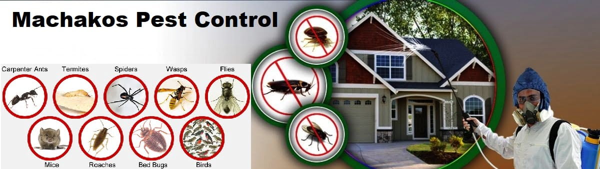 pest control services in Machakos