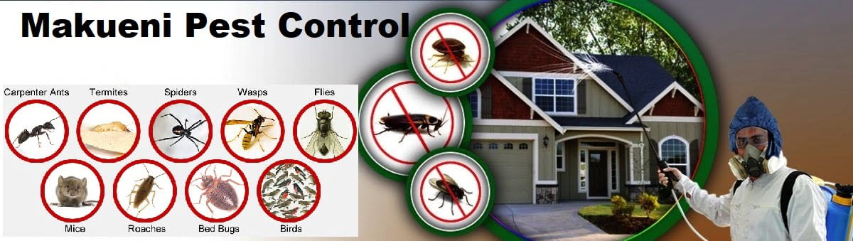 pest control services in Makueni Wote