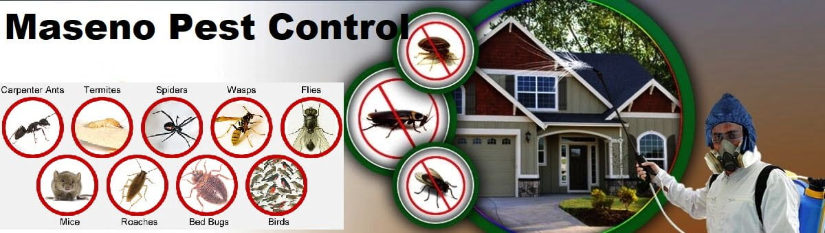 pest control services in Maseno Luanda Yala