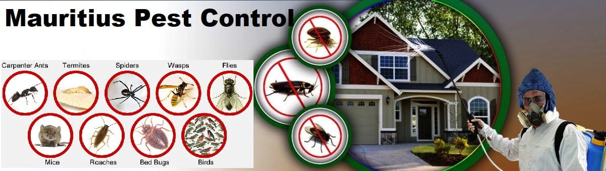 pest control services in Mauritius Port Louis
