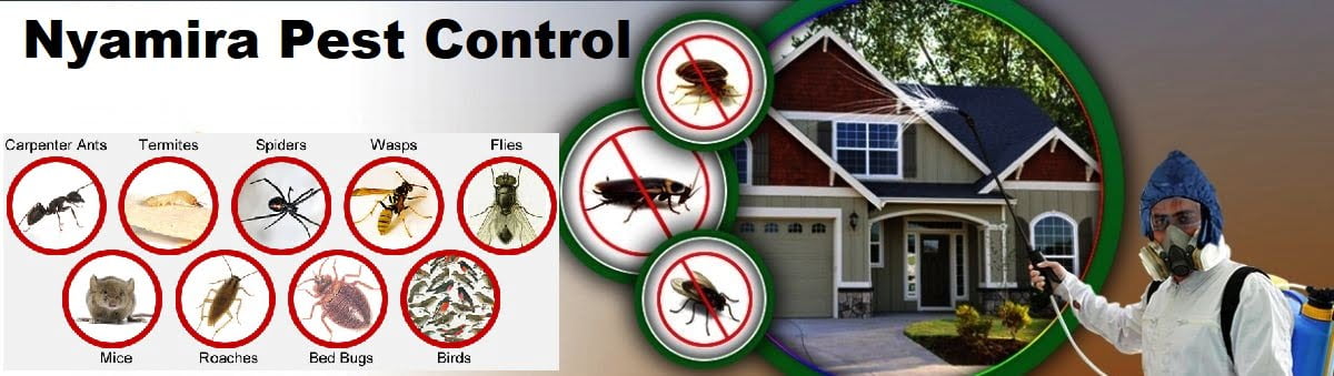 pest control services in Nyamira