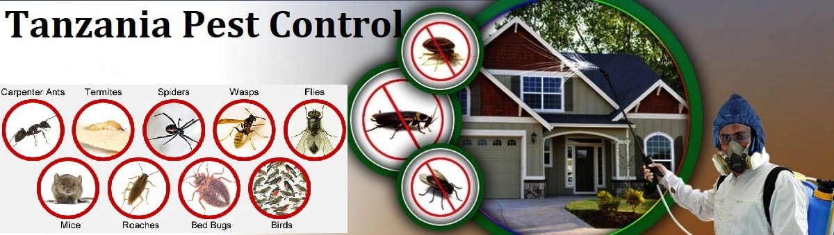 pest control services in Tanzania Dodoma