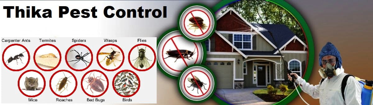 pest control services in Thika