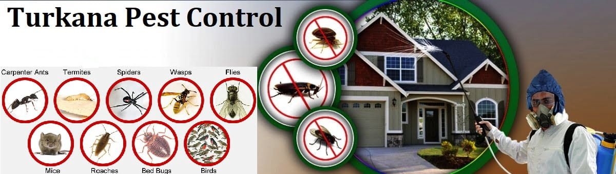 pest control services in Turkana