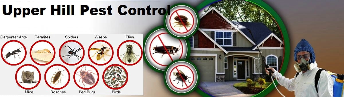 pest control services in Upper Hill Nairobi