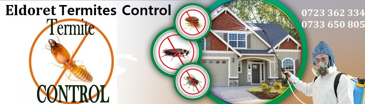 termites control services in Eldoret