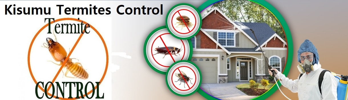 termites control services in Kisumu