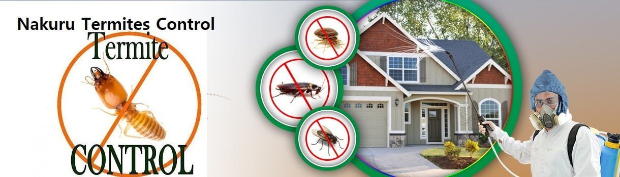 termites control services in Nakuru