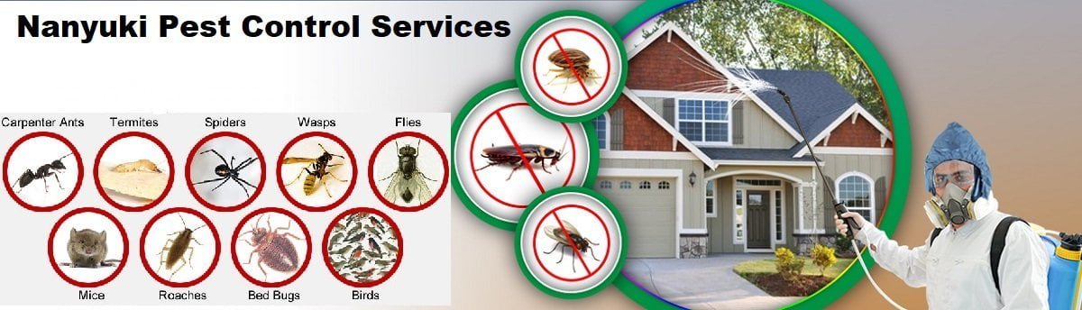 Fumigation and pest control services Nanyuki