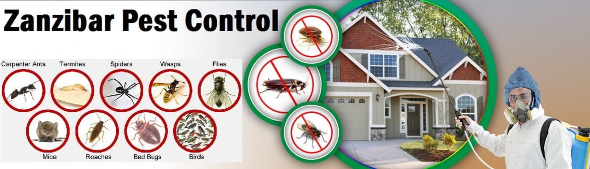 Fumigation and pest control services Zanzibar Unguja