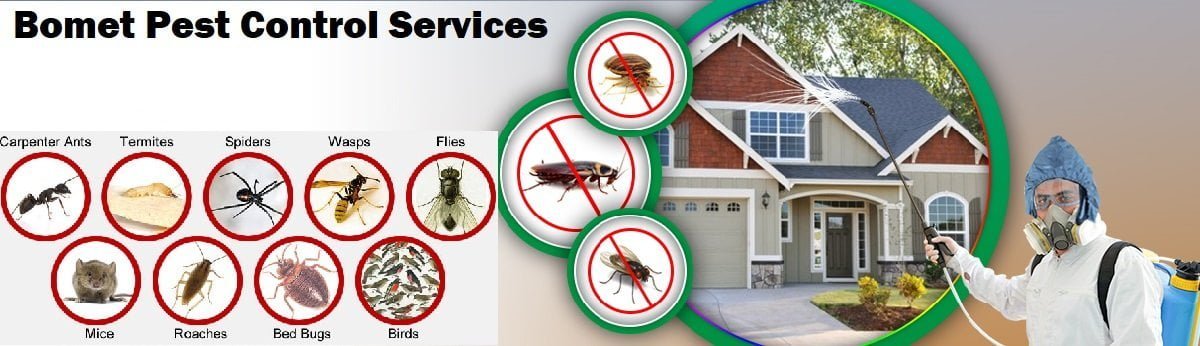 Fumigation and pest control services in Bomet Kenya