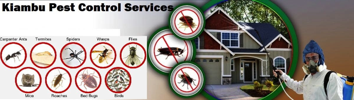 Fumigation and pest control services in Kiambu