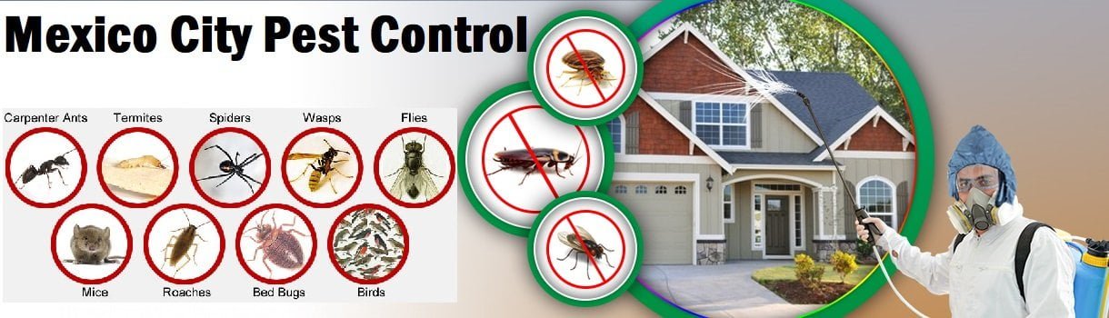 Fumigation and pest control services in Mexico City