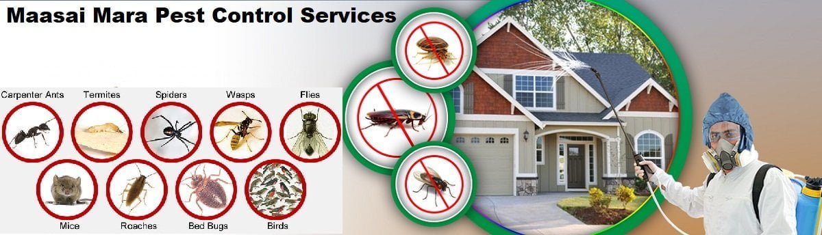 Fumigation & pest control services in Maasai Mara