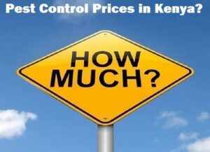 Pest control prices in Kenya