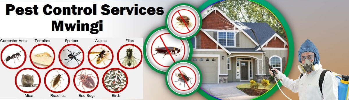 Fumigation and pest control services Mwingi