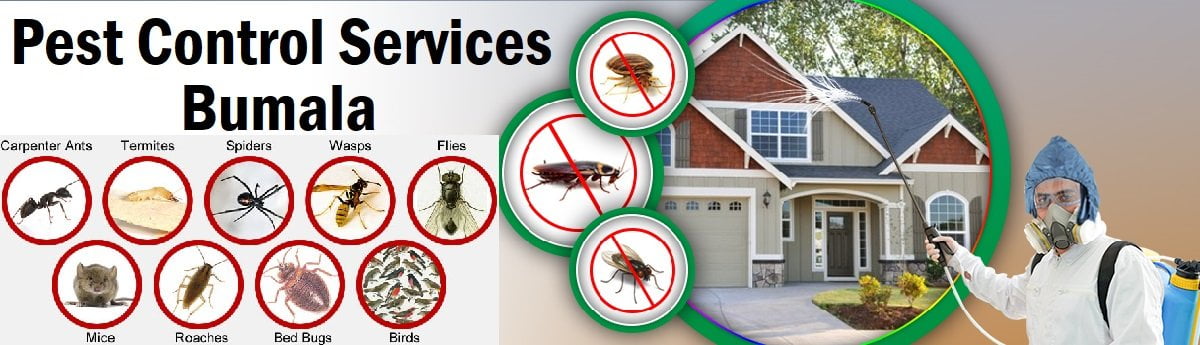 Fumigation and pest control services in Bumala