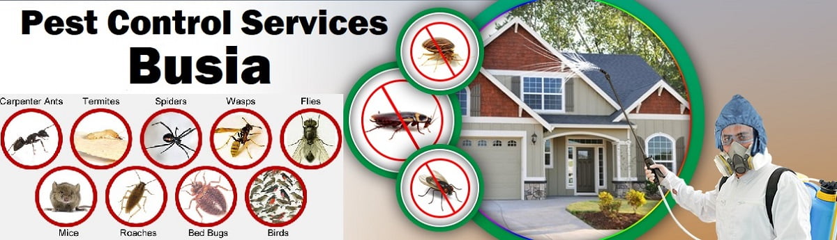 Fumigation and pest control services in Busia